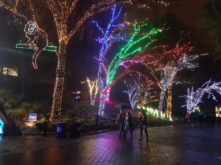Smithsonian ZooLights too good to pass, even with daylong rain The Wash