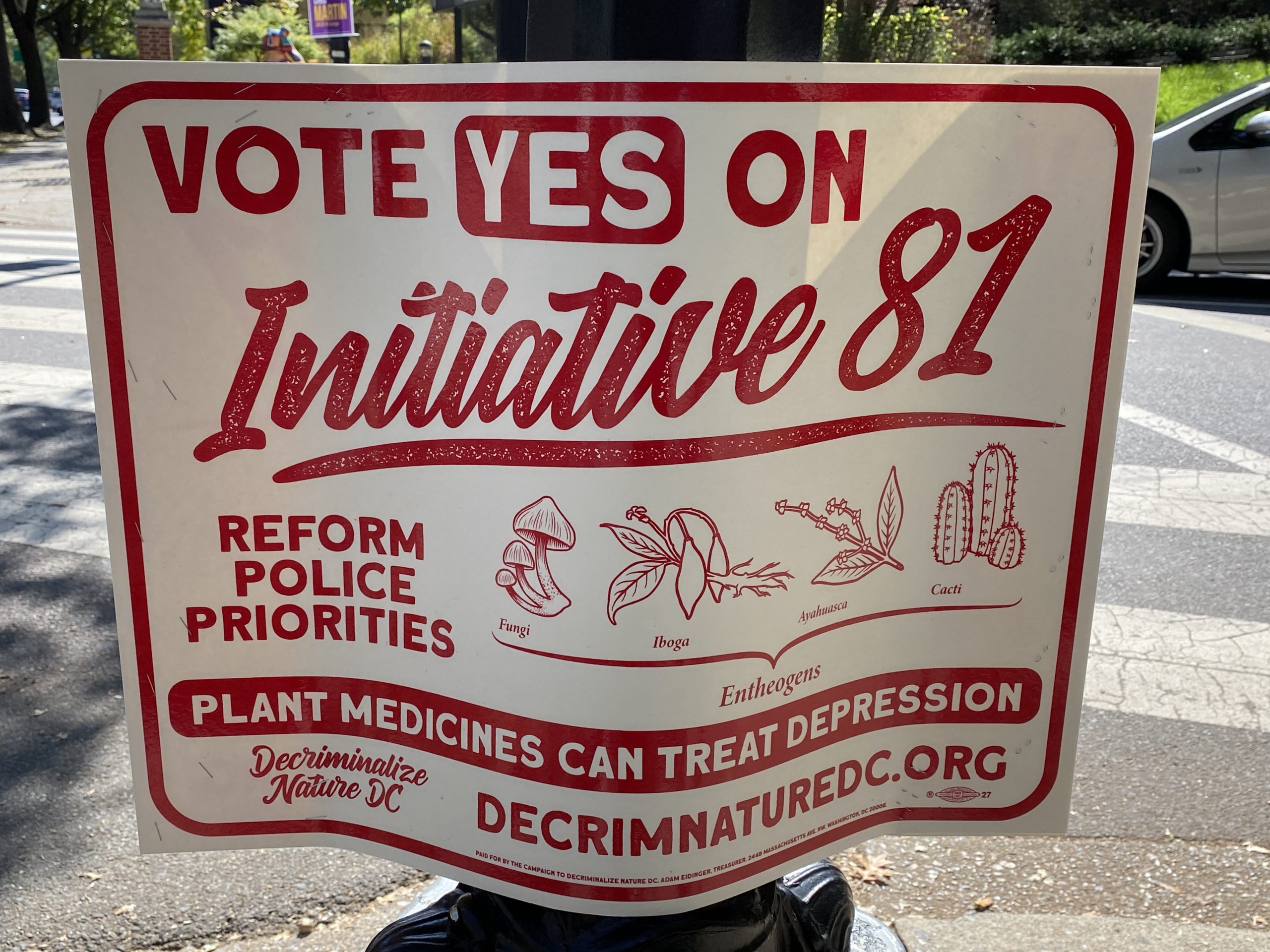 DC Initiative 81 Passes, Making Psychedelic Therapies Accessible – The Wash