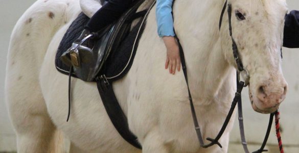 A young girl is slouched over on top of a white horse she is riding, arms wrapped around the horse's neck.