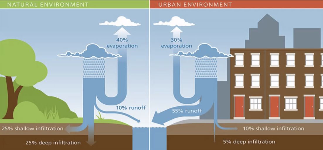 A graphic shows the differences between urban and natural environments and how they affect the percentage of runoff water.