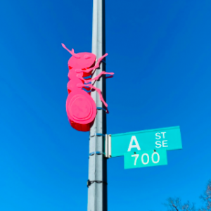 A red ant sculpture on the A Street sign