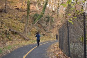 A woman jogs down the Zoo Loop Trail.