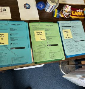 Sample ballots for Alexandria voters