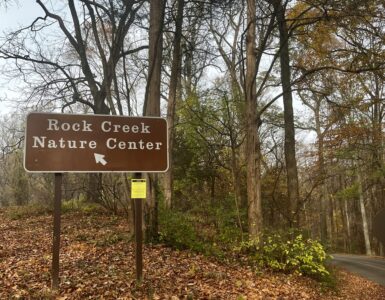 A sign for the Rock Creek Nature Center stands amid autumn leaves in Rock Creek Park. Photo by Jordan Thorton.