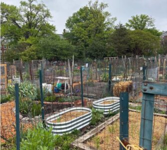 urban garden