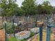 urban garden