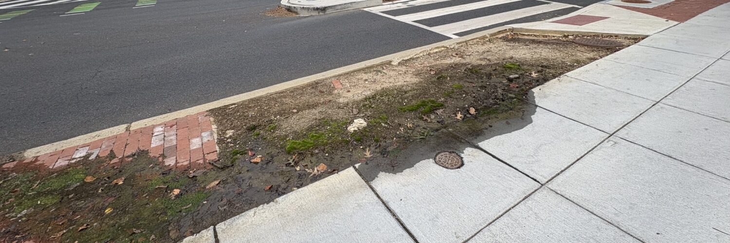A water leak has festered for almost two years on New Mexico Ave NW (Anastasia Menchyk)