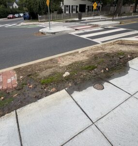 A water leak has festered for almost two years on New Mexico Ave NW (Anastasia Menchyk)