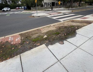 A water leak has festered for almost two years on New Mexico Ave NW (Anastasia Menchyk)