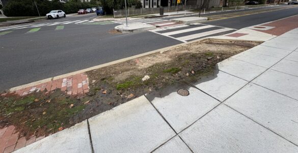 A water leak has festered for almost two years on New Mexico Ave NW (Anastasia Menchyk)