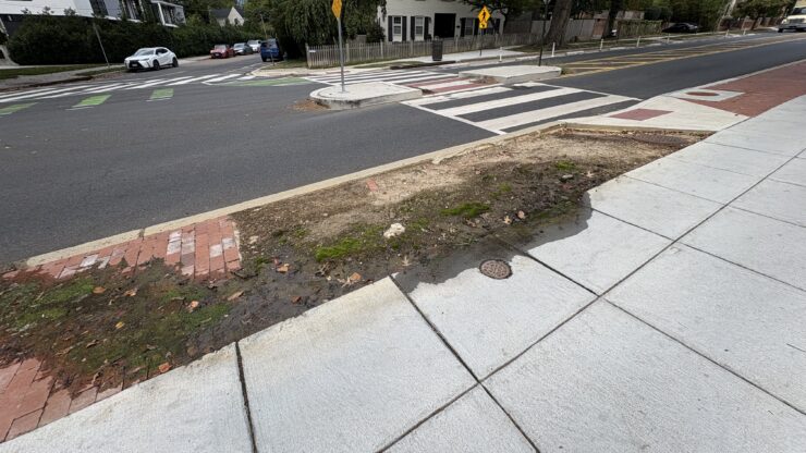 A water leak has festered for almost two years on New Mexico Ave NW (Anastasia Menchyk)