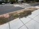 A water leak has festered for almost two years on New Mexico Ave NW (Anastasia Menchyk)