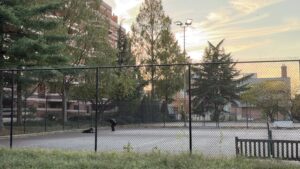A dog and its owner playing at the N Street tennis courts in the West End on a fall afternoon. (Yi Ya (Becky) Tseng)  