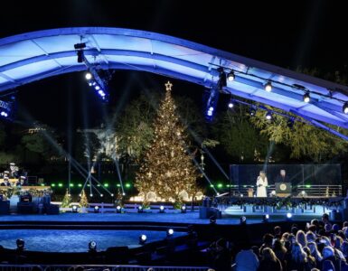 Crowds at the National Christmas Tree Lighting in Washington, D.C. (Screenshot, x.com/firstladyoffice)