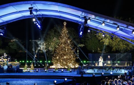 Crowds at the National Christmas Tree Lighting in Washington, D.C. (Screenshot, x.com/firstladyoffice)