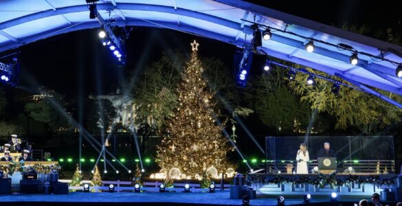 Crowds at the National Christmas Tree Lighting in Washington, D.C. (Screenshot, x.com/firstladyoffice)
