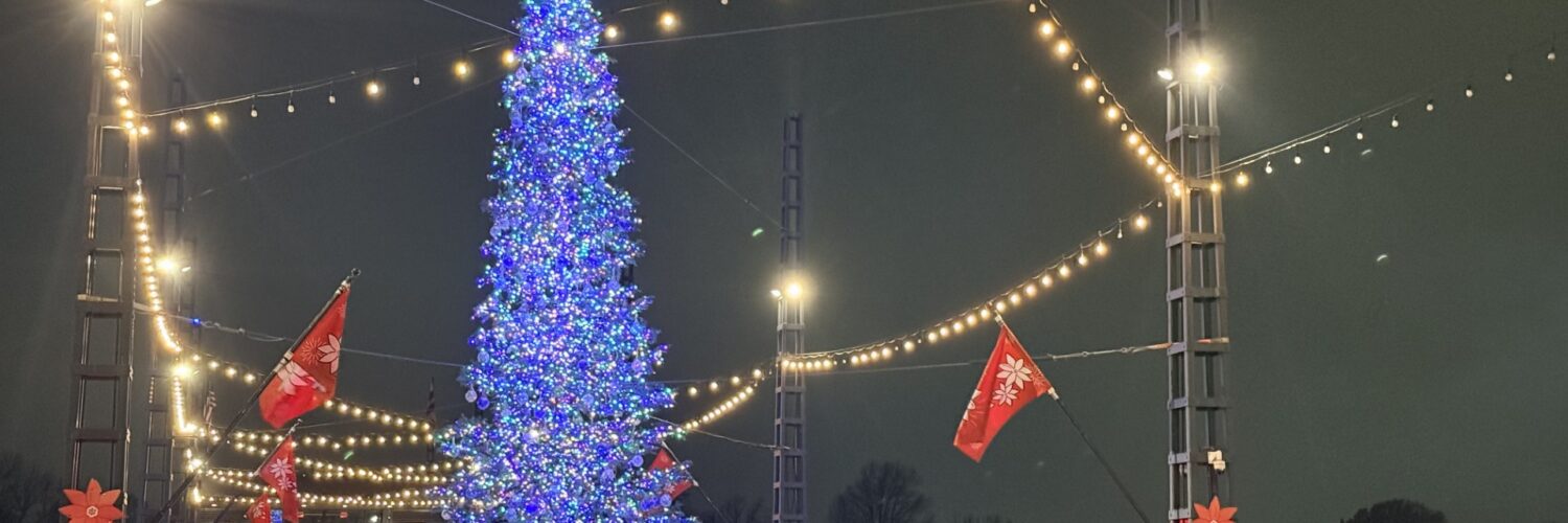 The Wharf's 2025 Christmas tree (Kordell Martin)