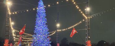 The Wharf's 2025 Christmas tree (Kordell Martin)