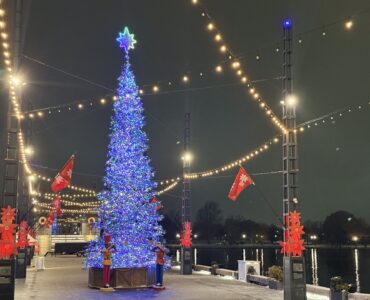 The Wharf's 2025 Christmas tree (Kordell Martin)