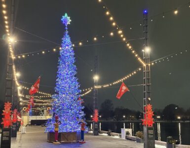 The Wharf's 2025 Christmas tree (Kordell Martin)