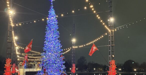 The Wharf's 2025 Christmas tree (Kordell Martin)