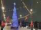 The Wharf's 2025 Christmas tree (Kordell Martin)
