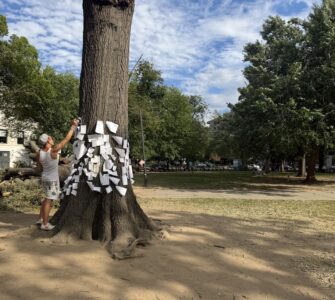 Northern Virginia resident pins message to stump in Dupont Circle Park.