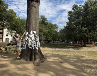 Northern Virginia resident pins message to stump in Dupont Circle Park.