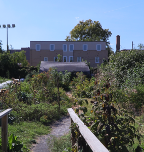 Two DIY wooden railings flank the entrance. A small path leads deeper into the farm. Directly ahead is the medicinal herb garden, with the greenhouse behind it. To their left lie rows of vegetable beds against the edge of the farm. To the right is the rain garden with the pavilion behind it. A few other plants are visible far right.