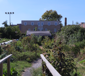 Two DIY wooden railings flank the entrance. A small path leads deeper into the farm. Directly ahead is the medicinal herb garden, with the greenhouse behind it. To their left lie rows of vegetable beds against the edge of the farm. To the right is the rain garden with the pavilion behind it. A few other plants are visible far right.