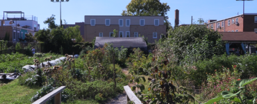 Two DIY wooden railings flank the entrance. A small path leads deeper into the farm. Directly ahead is the medicinal herb garden, with the greenhouse behind it. To their left lie rows of vegetable beds against the edge of the farm. To the right is the rain garden with the pavilion behind it. A few other plants are visible far right.