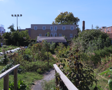Two DIY wooden railings flank the entrance. A small path leads deeper into the farm. Directly ahead is the medicinal herb garden, with the greenhouse behind it. To their left lie rows of vegetable beds against the edge of the farm. To the right is the rain garden with the pavilion behind it. A few other plants are visible far right.