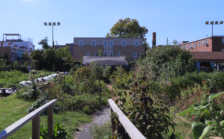 Two DIY wooden railings flank the entrance. A small path leads deeper into the farm. Directly ahead is the medicinal herb garden, with the greenhouse behind it. To their left lie rows of vegetable beds against the edge of the farm. To the right is the rain garden with the pavilion behind it. A few other plants are visible far right.