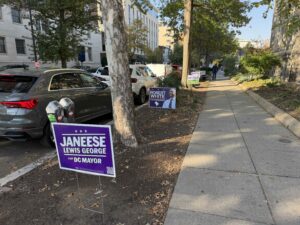 campaign signs lined up along the sidewalk