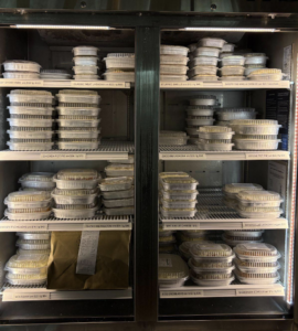 The Chicken Pot-Pieathon meal freezer at 1310 Kitchen & Bar. The Wash/Nia Ames