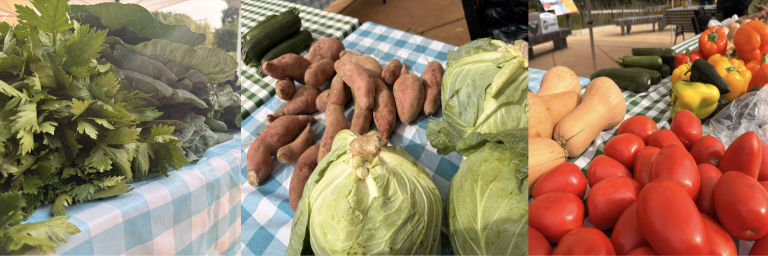 Three side-by-side images show an array of vegetables at the FRESHFARM ACM market. Photo by Ashayla Byrd