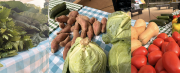 Three side-by-side images show an array of vegetables at the FRESHFARM ACM market. Photo by Ashayla Byrd