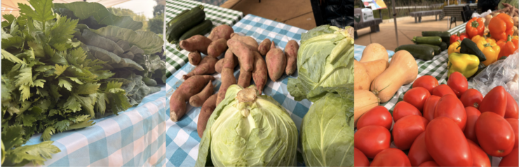 Three side-by-side images show an array of vegetables at the FRESHFARM ACM market. Photo by Ashayla Byrd
